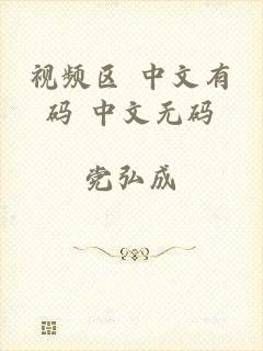 视频区 中文有码 中文无码